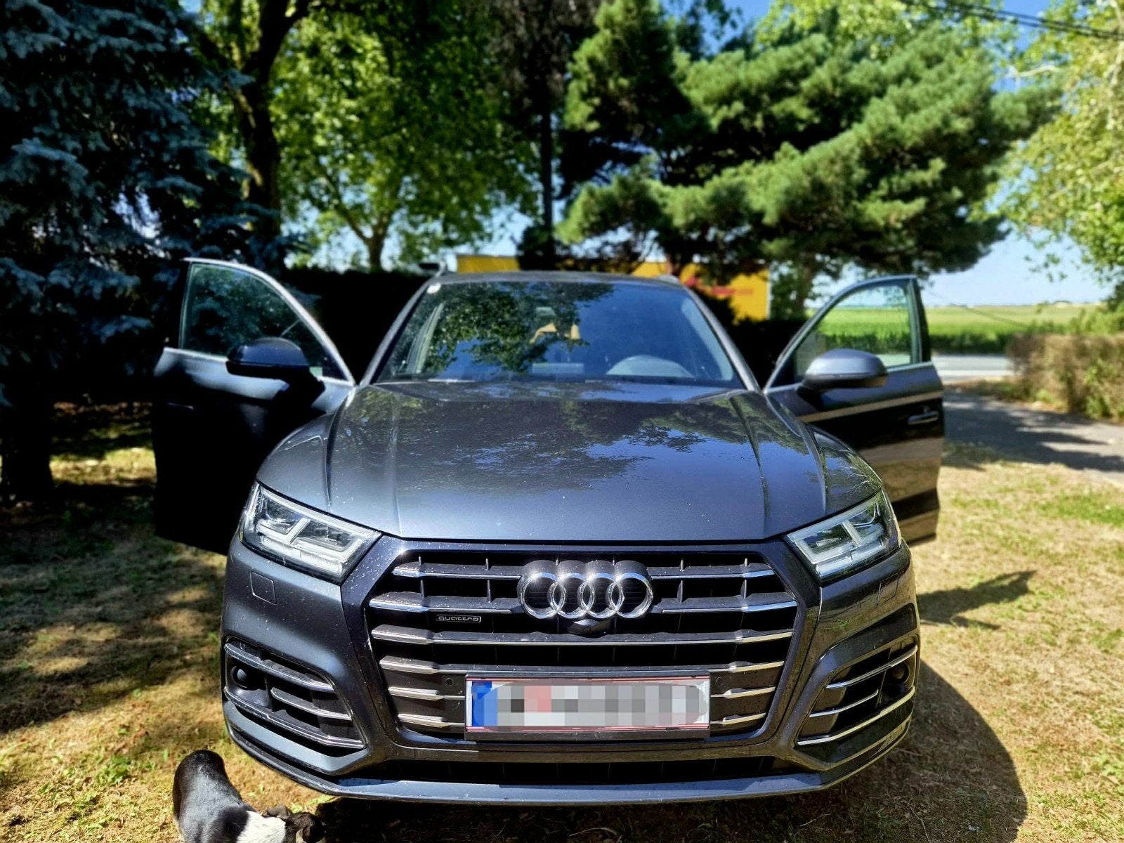 Audi Q5 55 tfsi e S line quattro  année 2020, Autos, Cuir, Achat, Euro 6, Q5
