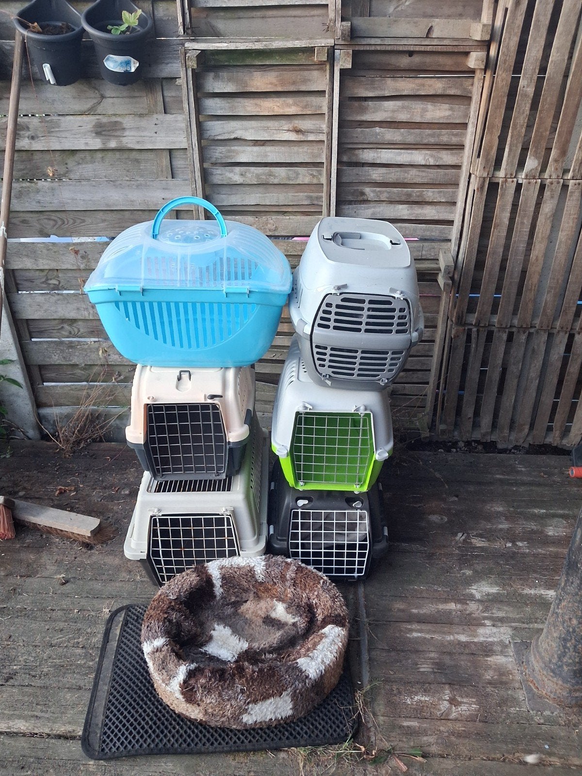 Kat vervoer bakken, Dieren en Toebehoren, Ophalen