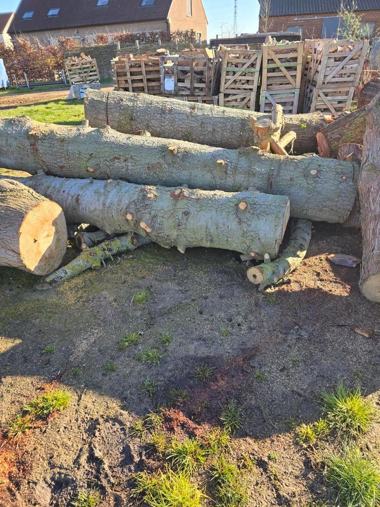 Bûches de bois d'épicéa, Enlèvement