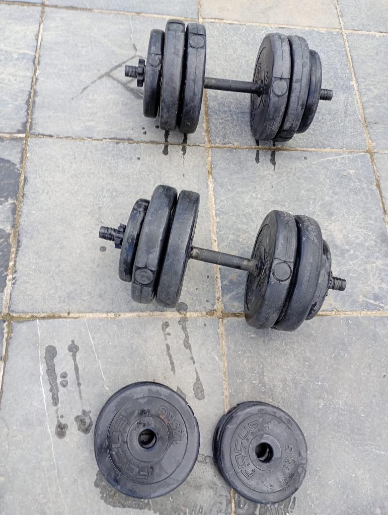 Dumbbells / fitness gewichten, Sport en Fitness, Ophalen, Gebruikt, Dumbbell