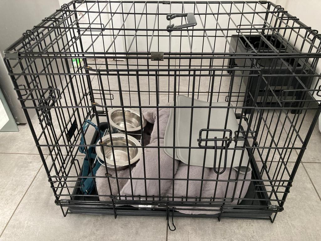 Kit de démarrage chien :banc, mangeoire, oreiller et harnais, Enlèvement, Neuf, Moins de 65 cm