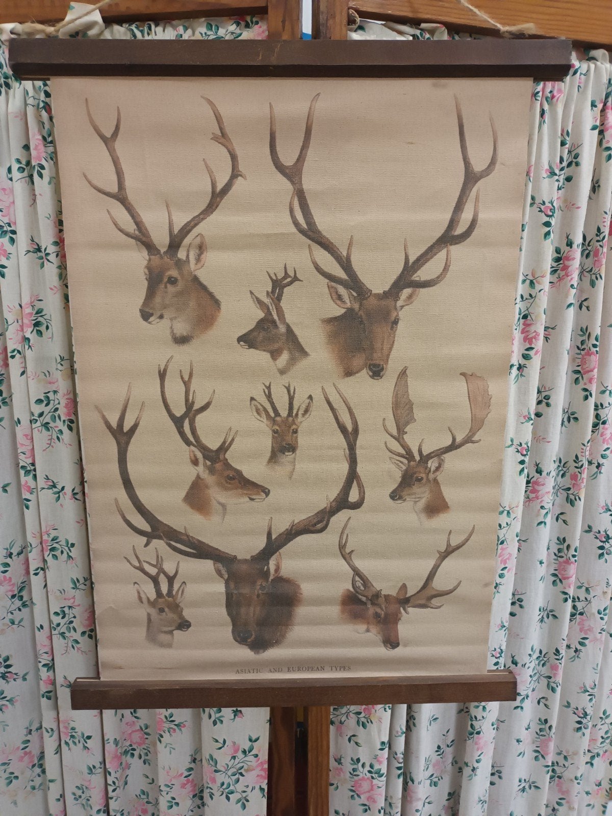 Schoolplaat Herten op Linnen (45x60 cm), Ophalen of Verzenden, ###, ###, ###