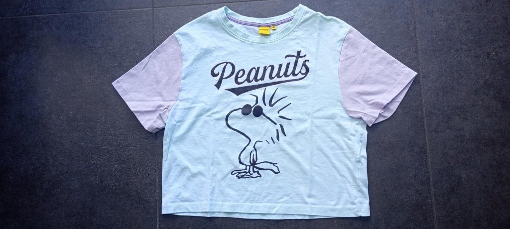 kort shirtje Snoopy maat 164, Kinderen en Baby's, Kinderkleding | Maat 164, Snoopy, Meisje, Ophalen of Verzenden, Zo goed als nieuw