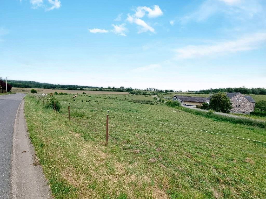À vendre : terrain à bâtir de 24,27 ares à Romerée, Doische, 1500 m² ou plus