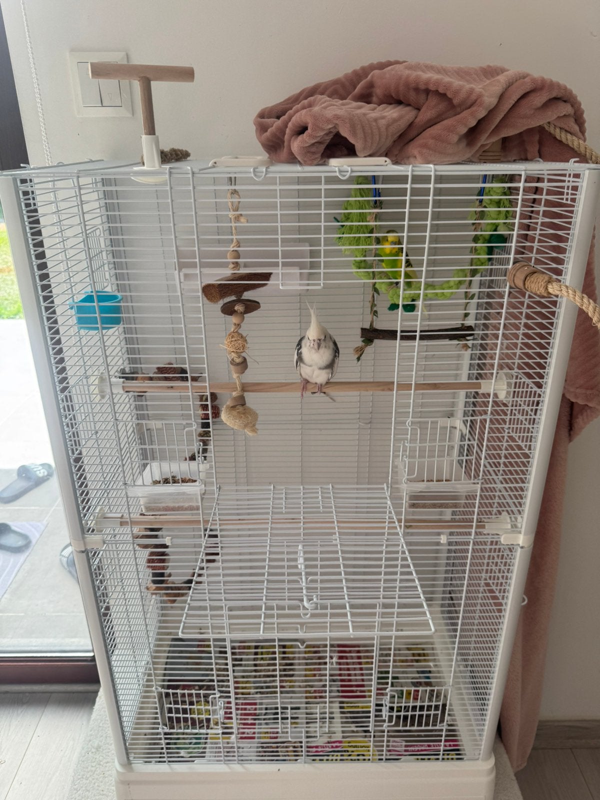 Cage perruche calopsitte, Enlèvement, Comme neuf