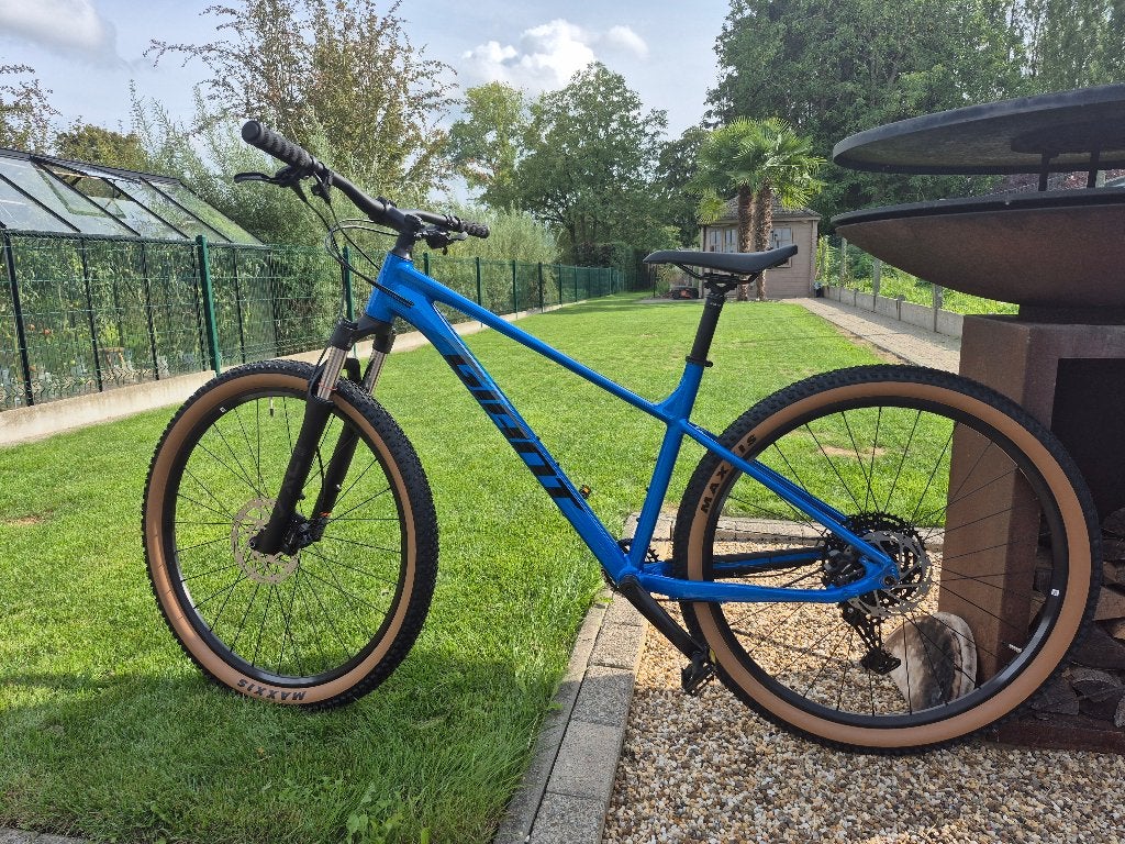 MOUNTAINBIKE GIANT TALON 1 – MAAT L – SPLINTERNIEUW, Ophalen, Heren, Nieuw, Giant