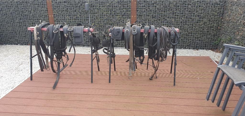 Dubbelspan ponytuig, Dieren en Toebehoren, Ophalen