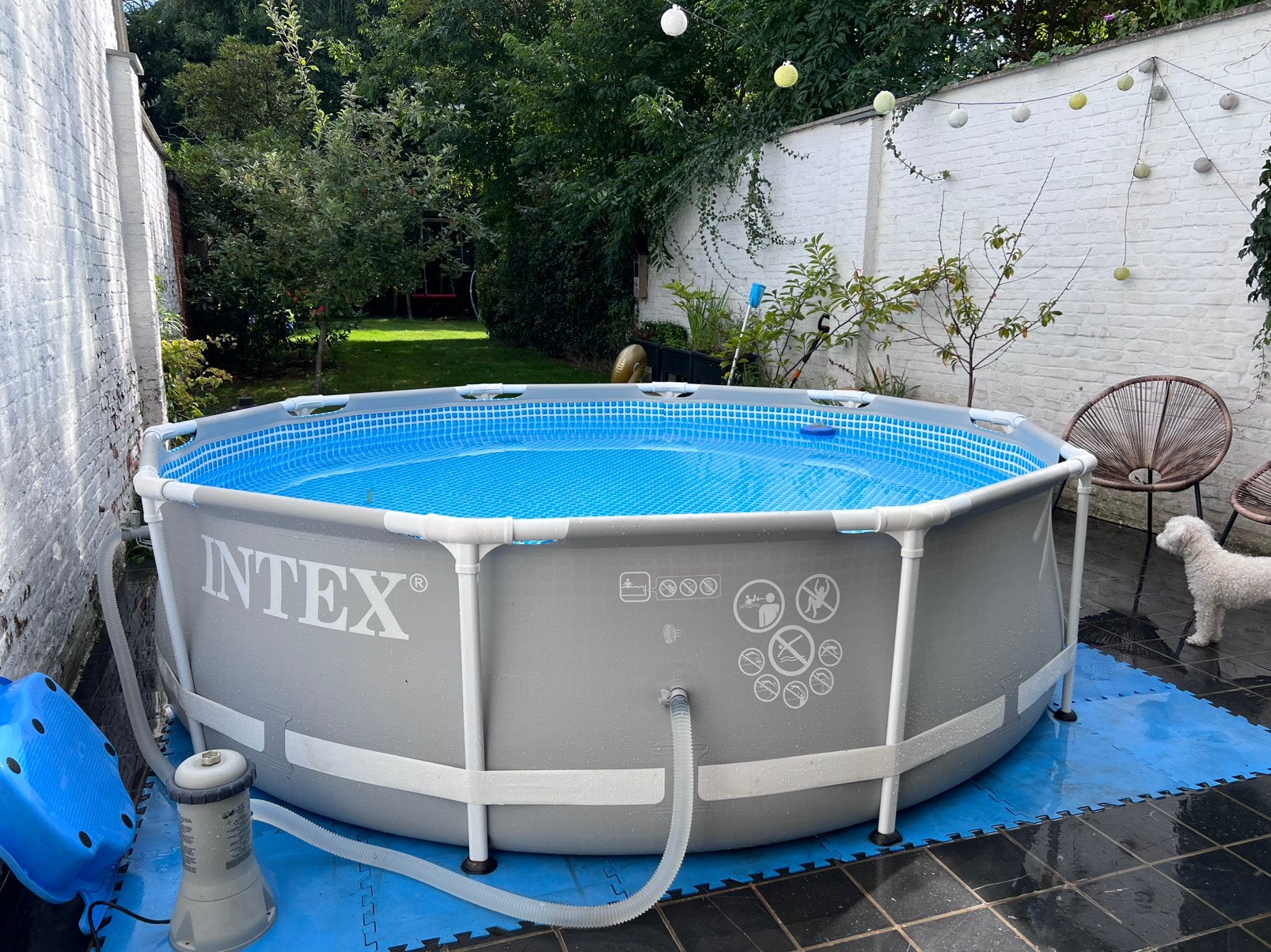 Intex zwembad, Jardin & Terrasse, Piscines, 200 à 400 cm, Rond, Enlèvement, Utilisé