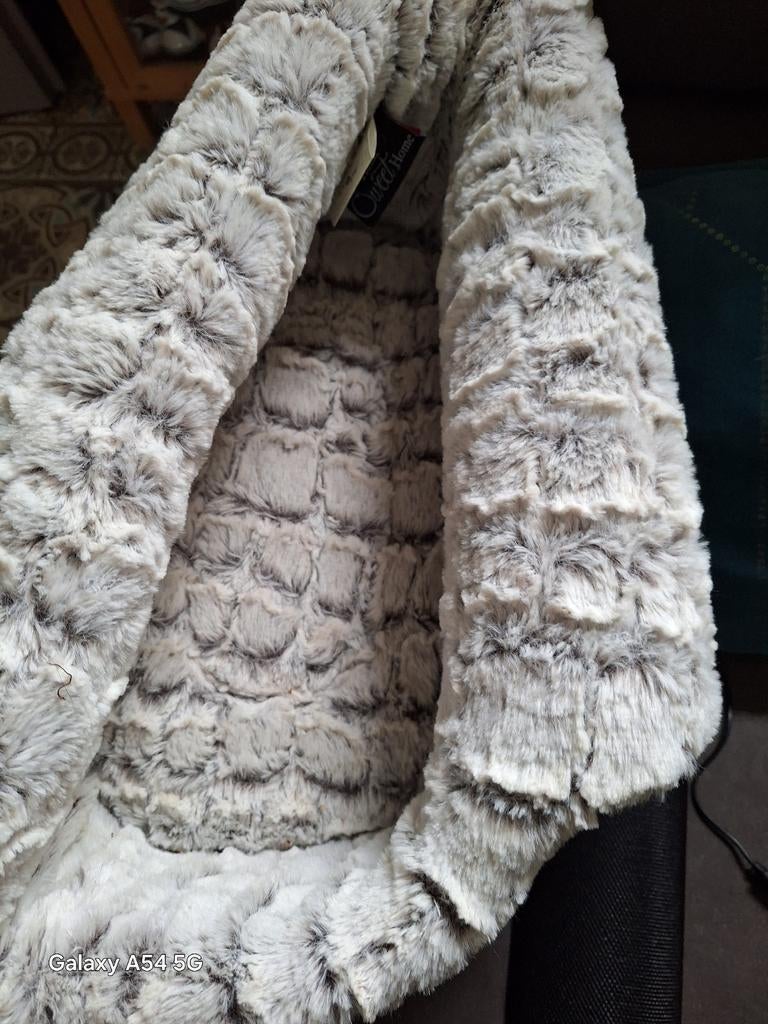 Panier transport pour petit chien, Animaux & Accessoires, Accessoires pour chiens, Enlèvement