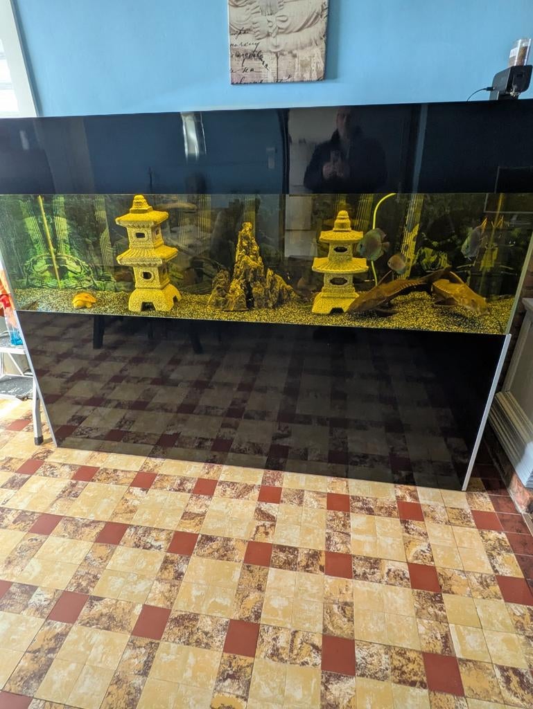 aquarium  tout komple, Enlèvement
