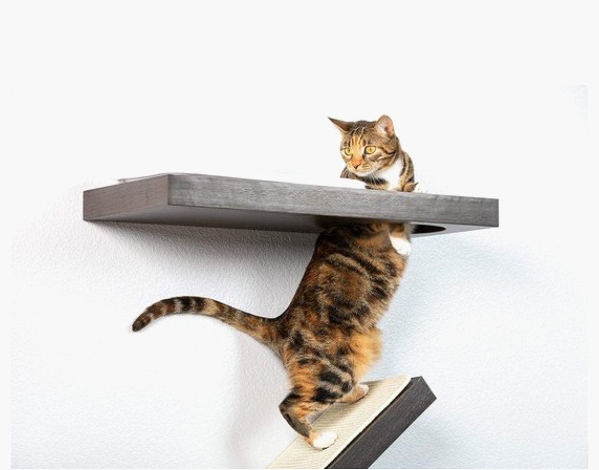 Katten klimmuur, Dieren en Toebehoren, Ophalen, Nieuw