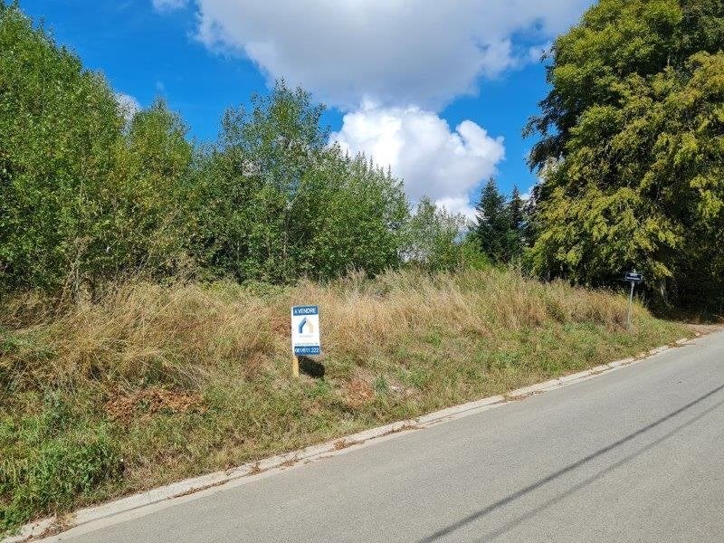 Warmifontaine : terrain de +- 80 ares, très belle situation., Immo, Terrains & Terrains à bâtir, Warmifontaine - Neufchâteau, 1500 m² ou plus