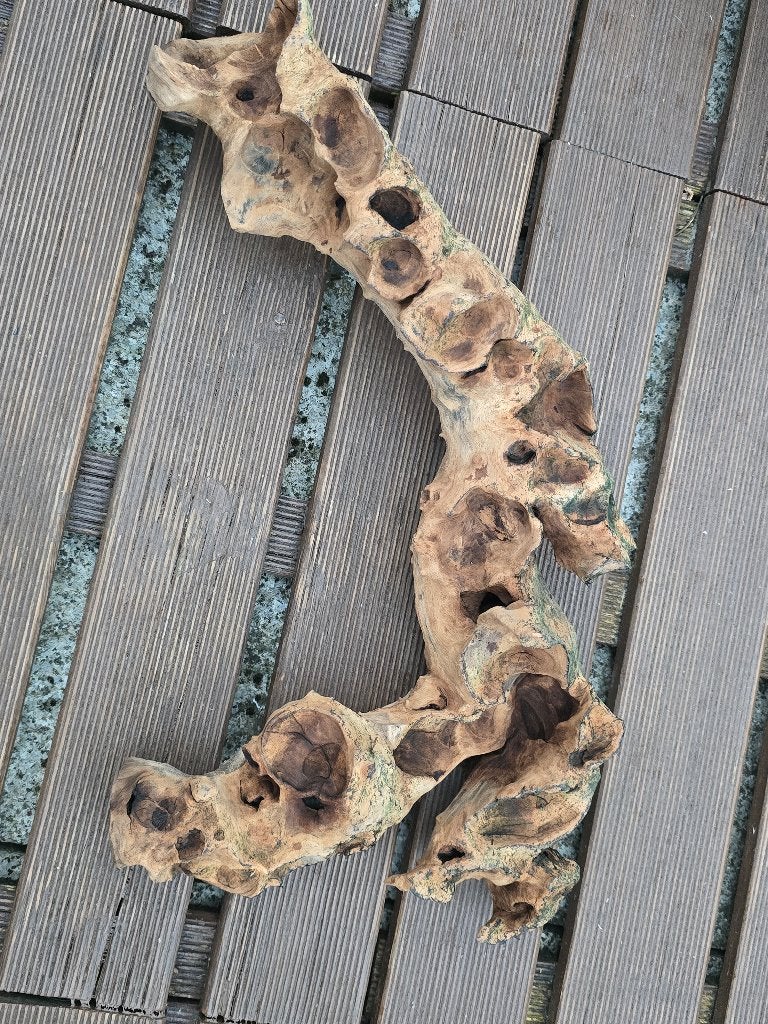 Te koop hout, Dieren en Toebehoren, Vis, Zoetwatervis