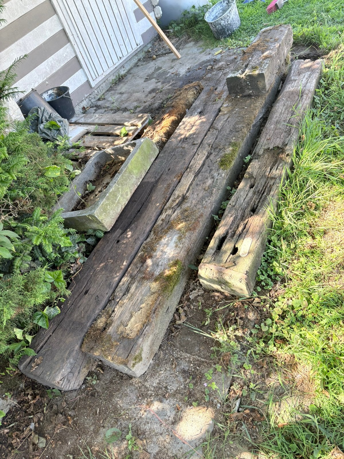 Treinbielzen, Bois dur, Enlèvement, Utilisé, 180 à 250 cm