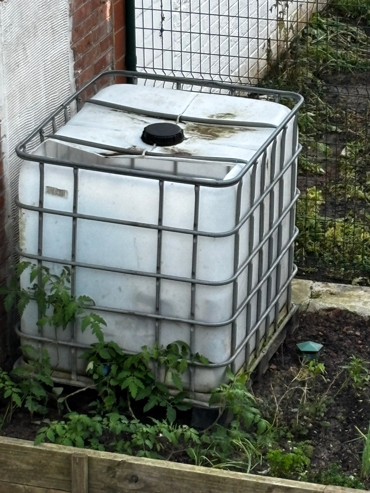 Conteneur 1000L à vendre, Enlèvement