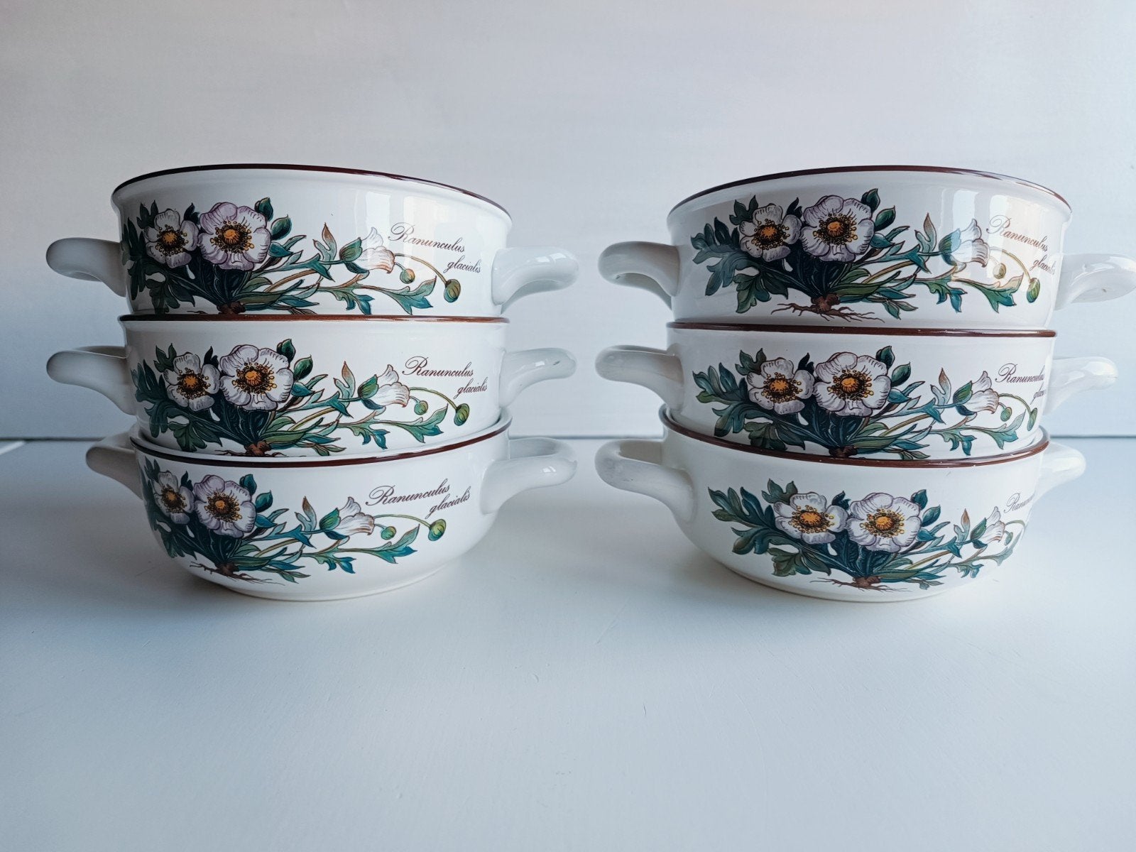 Lot de 6 bols à soupe à oreilles – Villeroy & Boch « Botanic