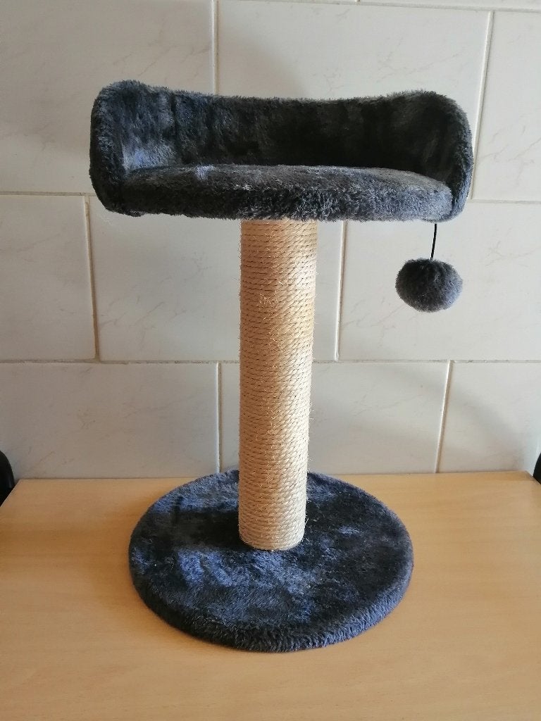 NOUVEAU Arbre à chat, Animaux & Accessoires, Meubles griffoirs pour chats, Enlèvement ou Envoi, Neuf