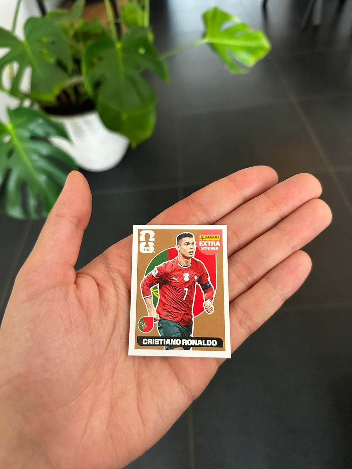 Bronze Ronaldo Panini EXTRA Sticker, Verzamelen, Stickers, Ophalen of Verzenden, Zo goed als nieuw