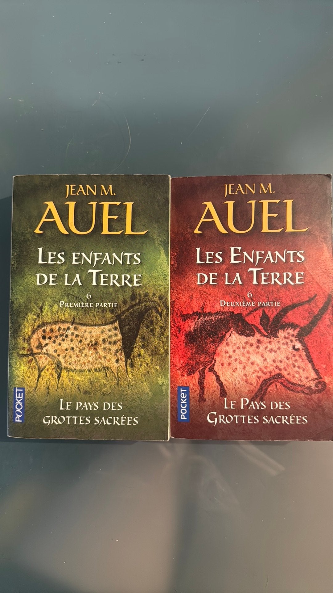 Les Enfants de la Terre tome 6, Enlèvement, Comme neuf