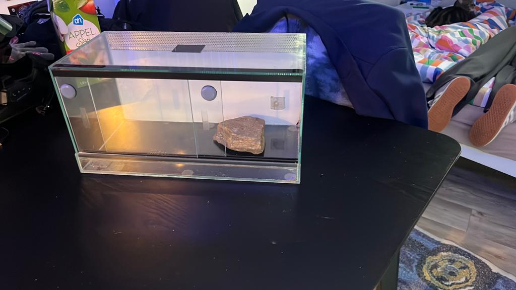 Terrarium, Dieren en Toebehoren, Reptielen en Amfibieën | Toebehoren, Ophalen, Zo goed als nieuw