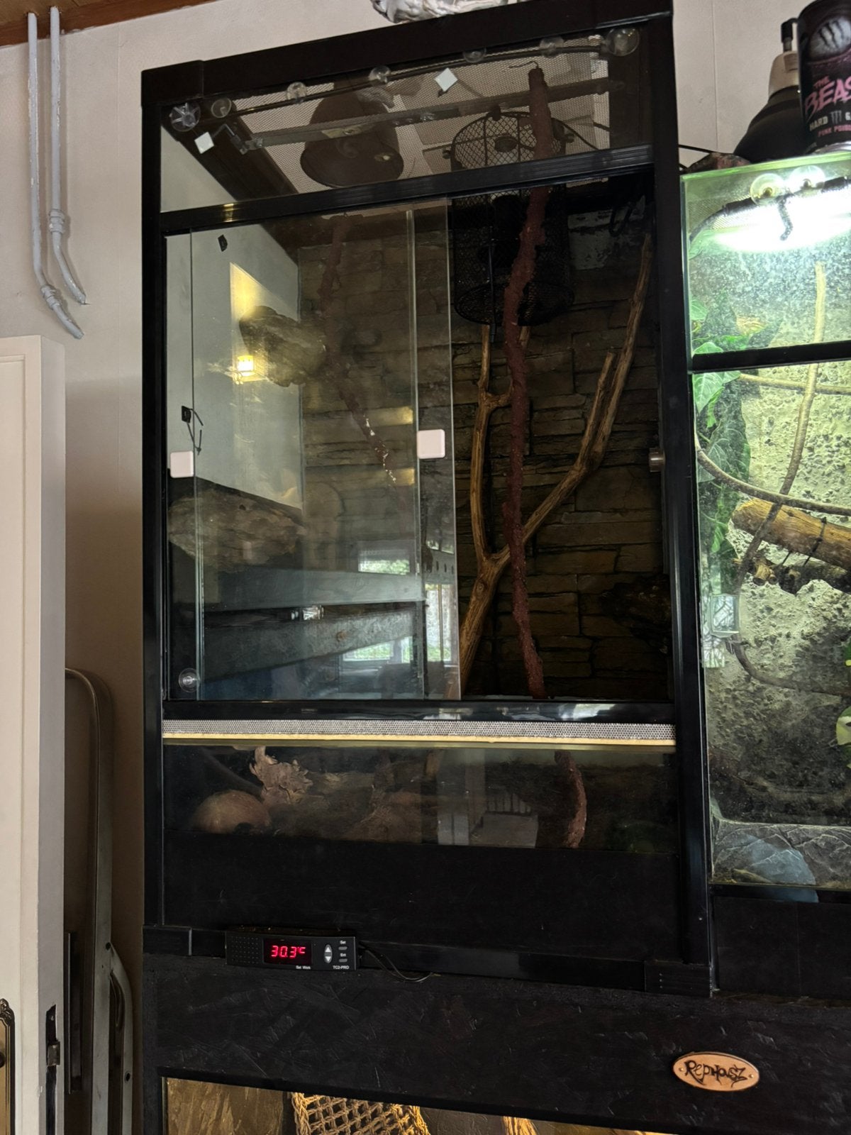 Terrarium te koop, Dieren en Toebehoren, Ophalen, Gebruikt, Terrarium of Paludarium