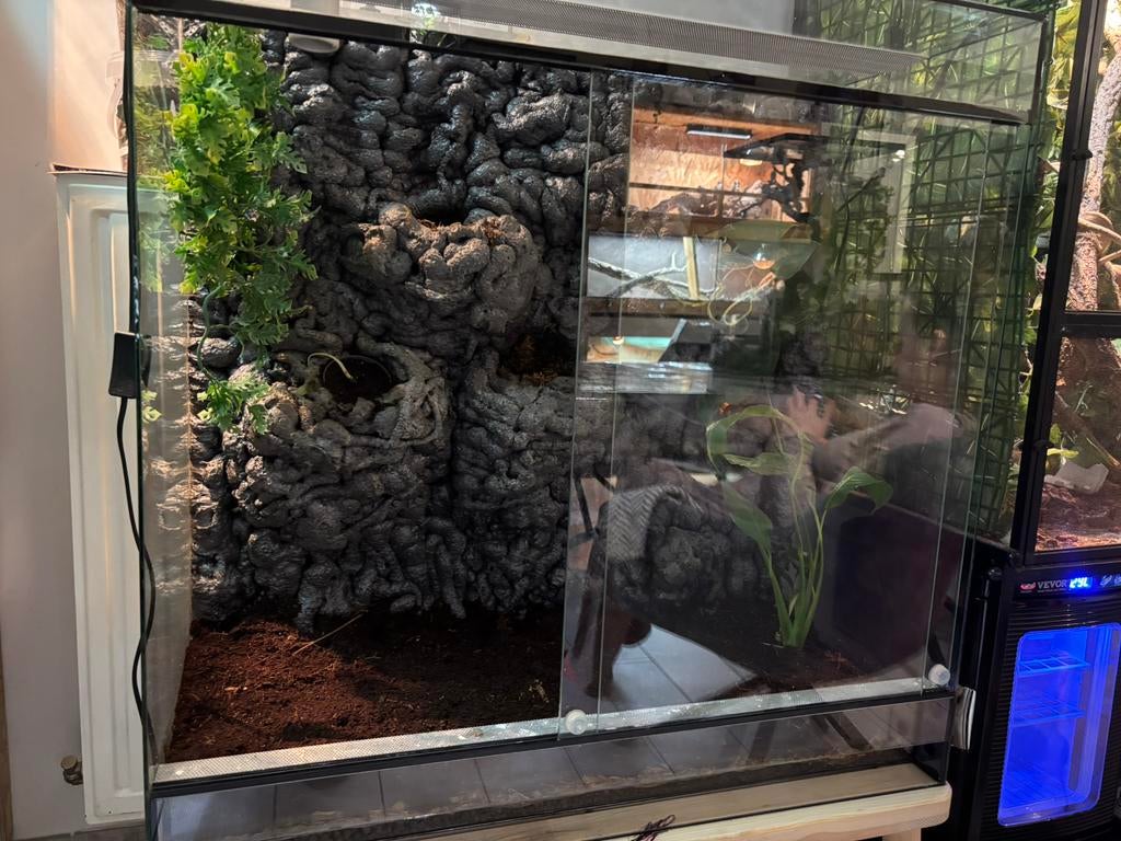 Terrarium 80 40 80, Animaux & Accessoires, Enlèvement, Comme neuf