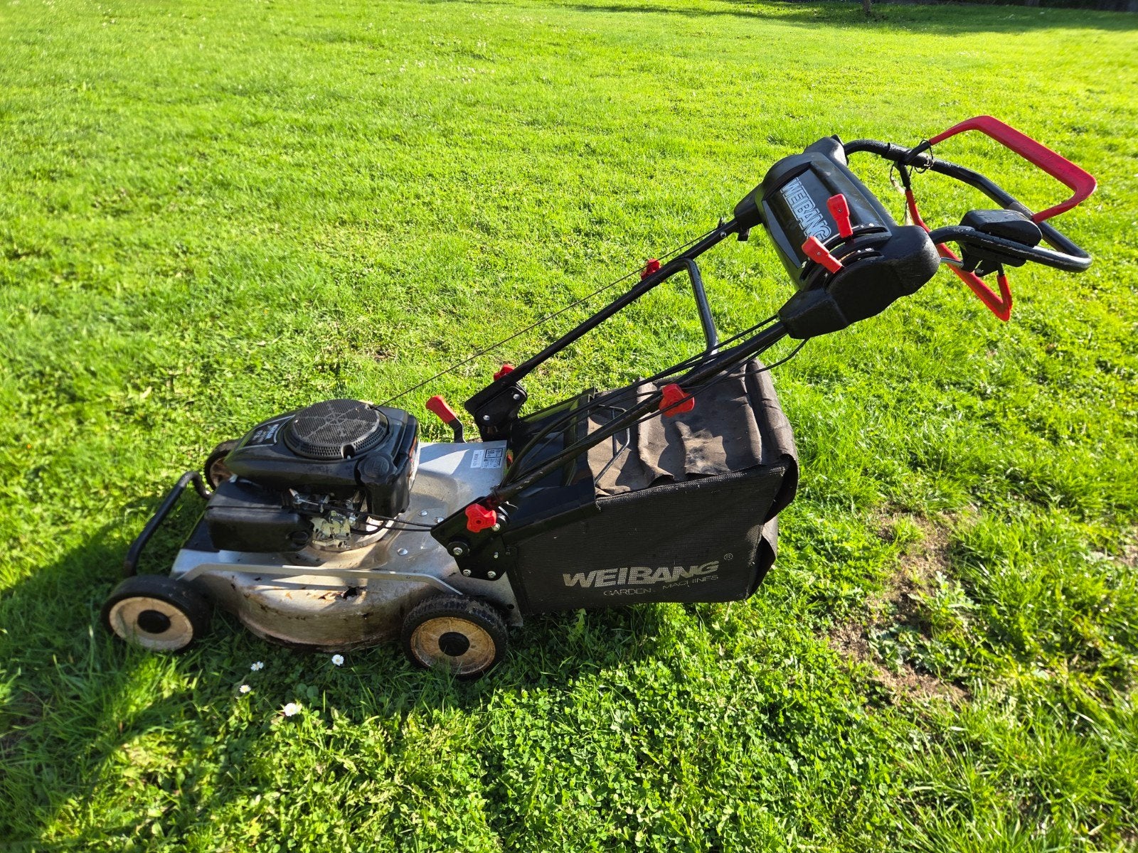 Weibang WB536SKL V3 en 1, Tondeuse rotative, Tondeuses à gazon à essence, Utilisé, Weibang