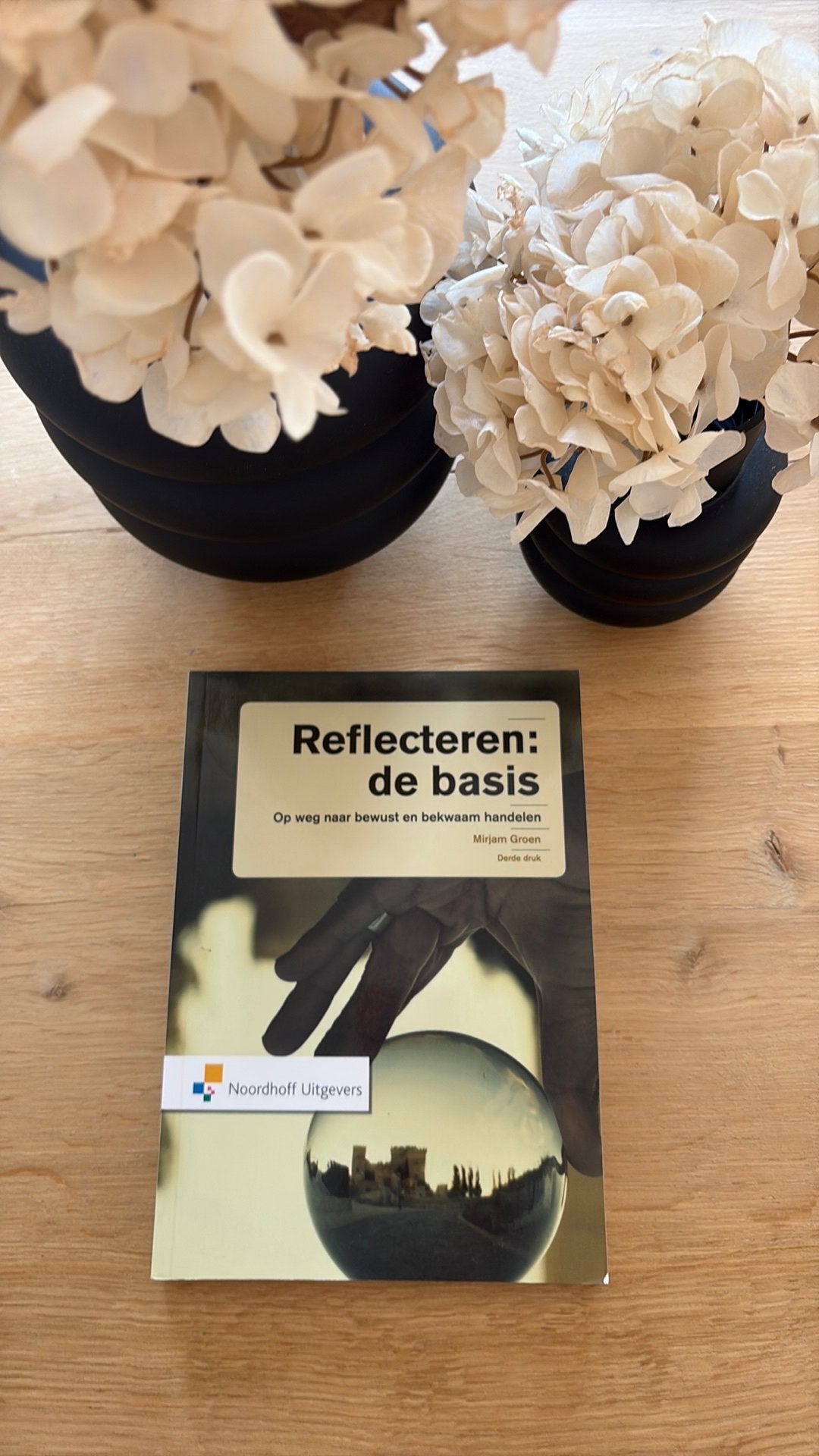 Mirjam Groen - Reflecteren: de basis, Boeken, Verzenden, Mirjam Groen