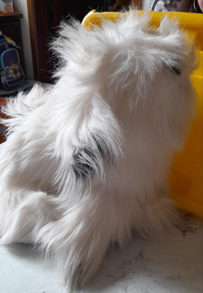 Knuffel hond, Kinderen en Baby's, Speelgoed | Knuffels en Pluche, Ophalen of Verzenden, Hond