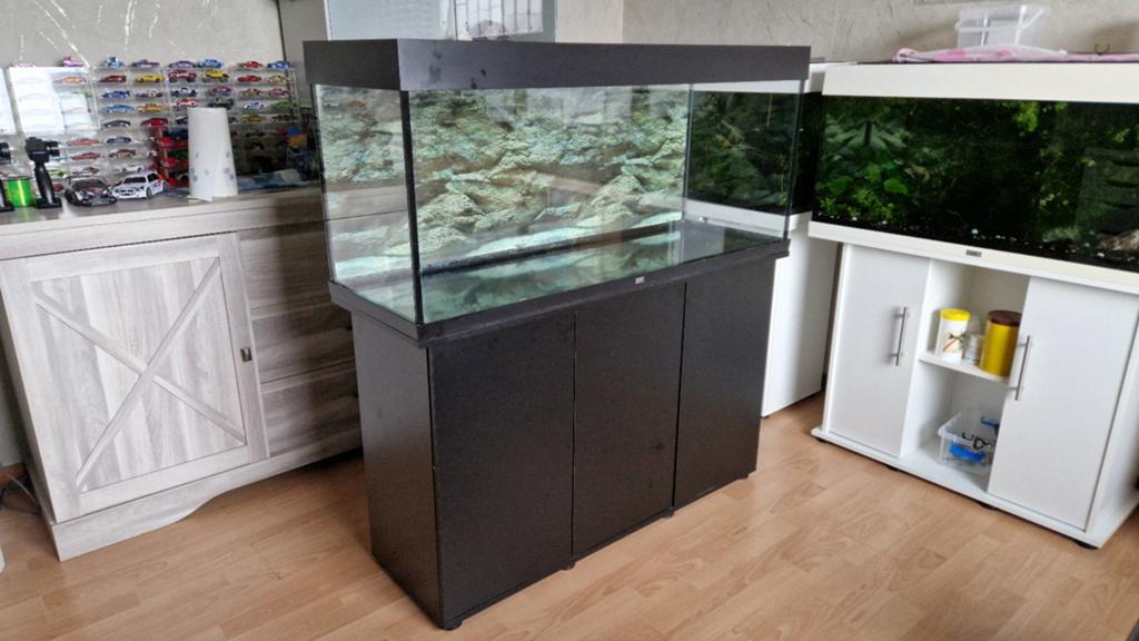 juwel rio 240 met meubel, Animaux & Accessoires, Enlèvement, Filter, Juwel