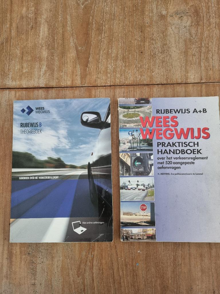 wees wegwijs rijbewijs, Boeken, Ophalen of Verzenden, Gelezen