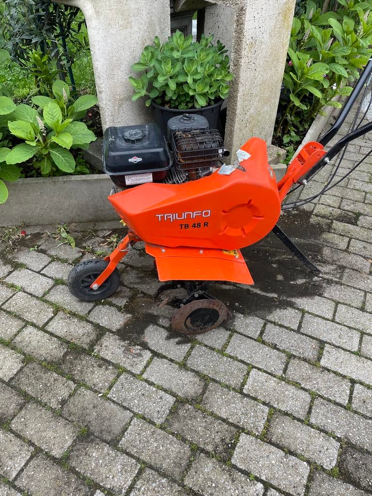 Tuinfrees, Enlèvement, Comme neuf