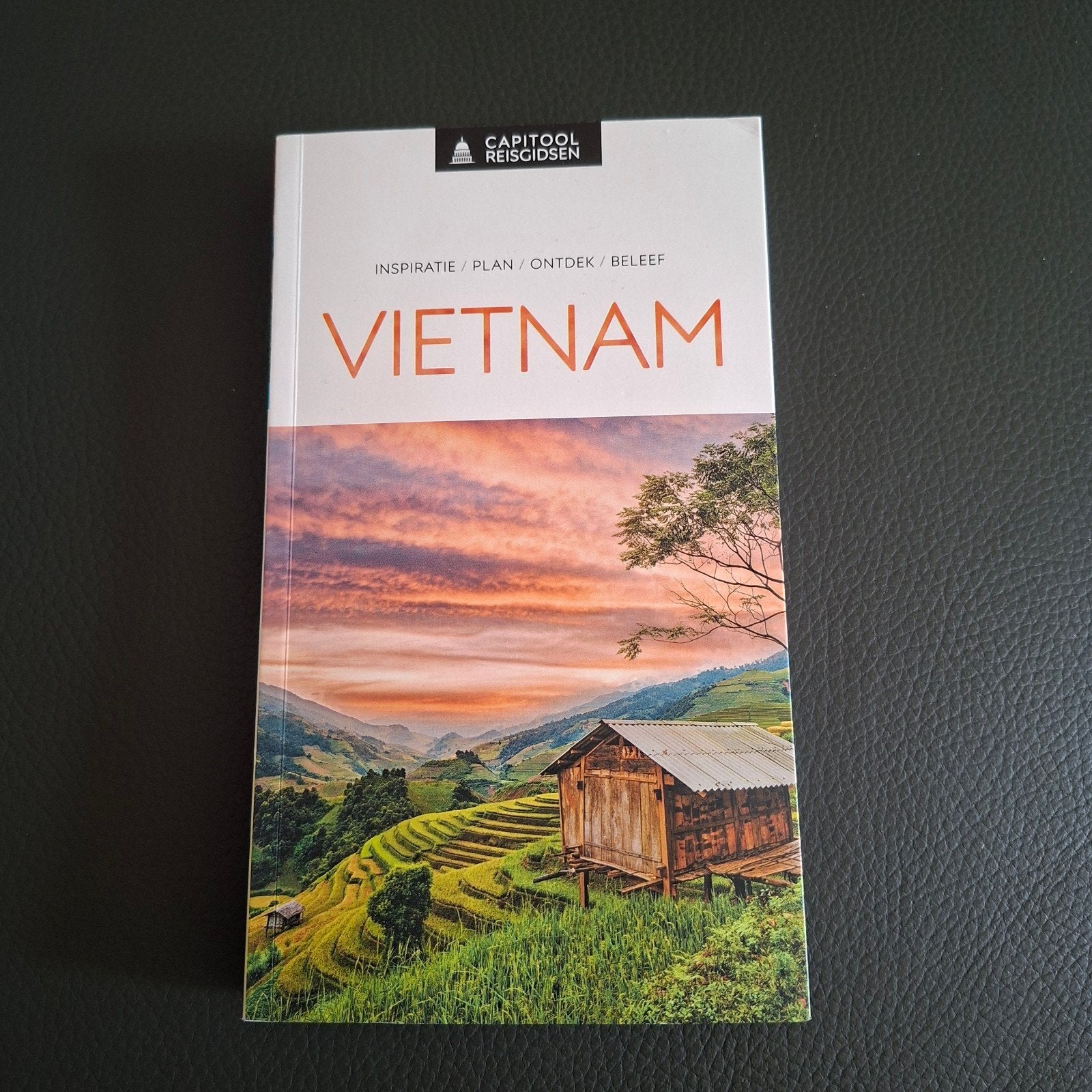Reisgids Capitool - Vietnam in perfecte staat, Livres, Enlèvement, Capitool, Capitool