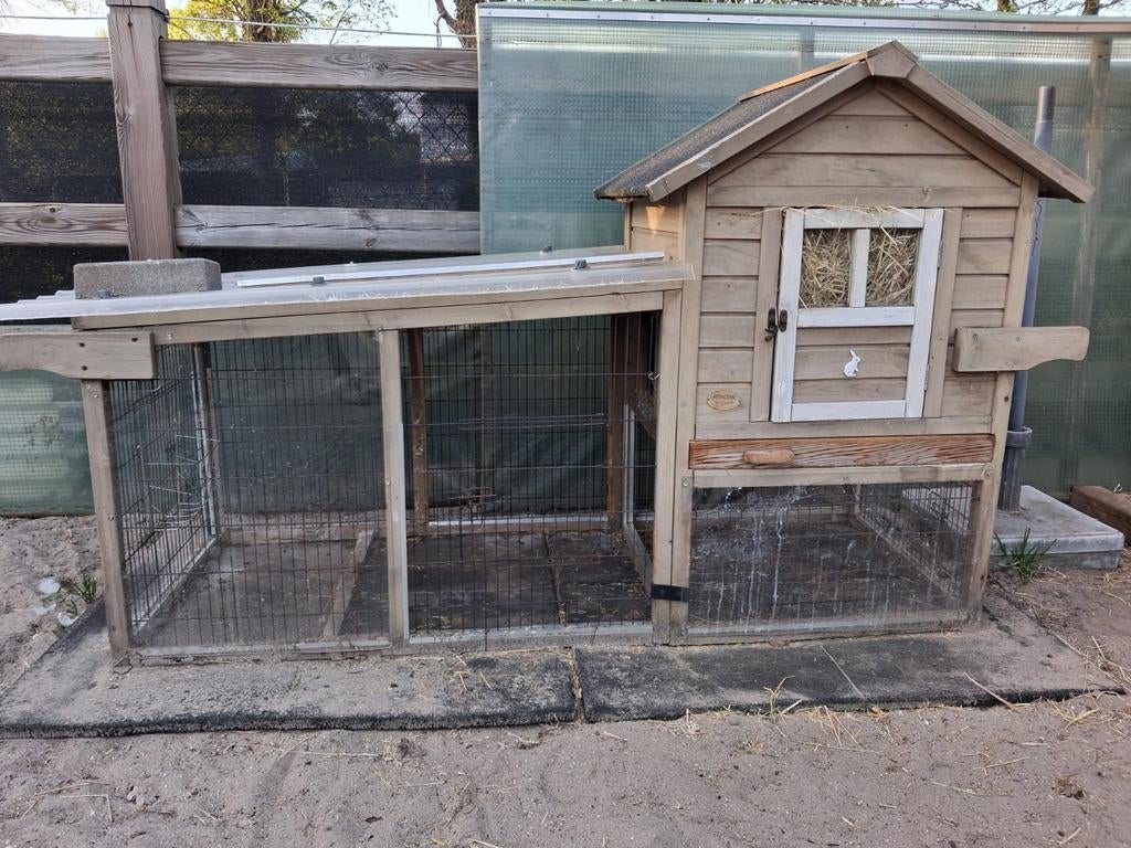 Konijnenhok - hok van cavia's, Enlèvement, Niche, Cobaye