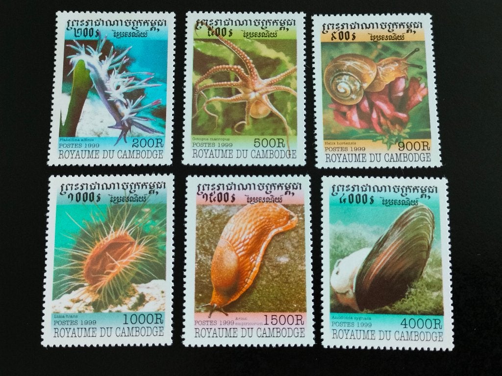 Cambodge 1999 - mollusques, escargots, calmars, poulpes **, Envoi, Non oblitéré, Asie du Sud Est