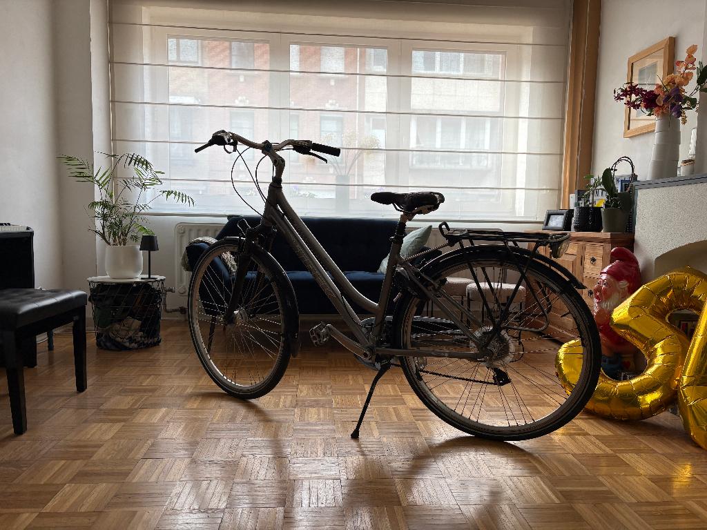 Trek Damesfiets, Ophalen, Gebruikt, Overige merken, Versnellingen