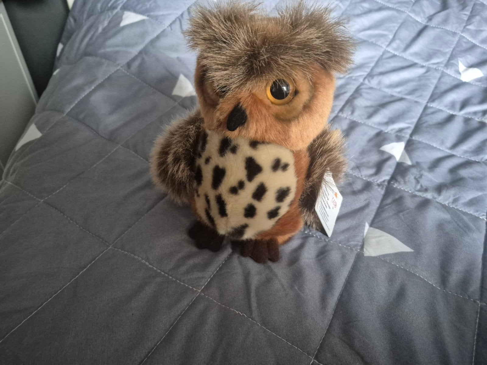 knuffel uil ongebruikt, Enlèvement ou Envoi