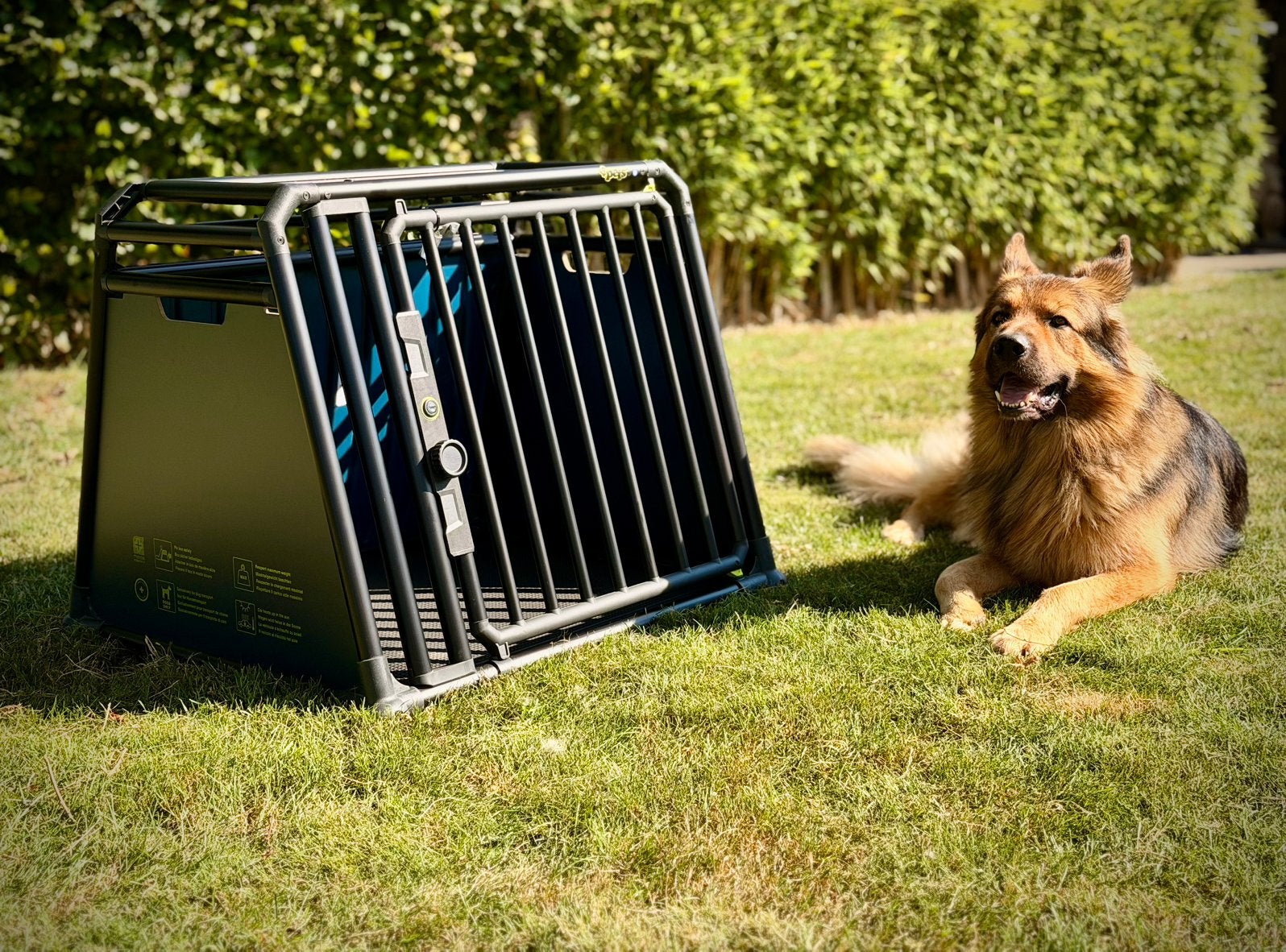 4pets PRO Noir 4 Small — Auto bench — Nieuw, nooit gebruikt, Ophalen, Hondenkennel, 65 tot 100 cm, Nieuw