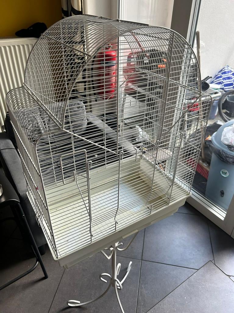 Vogelskooi, Enlèvement, Comme neuf