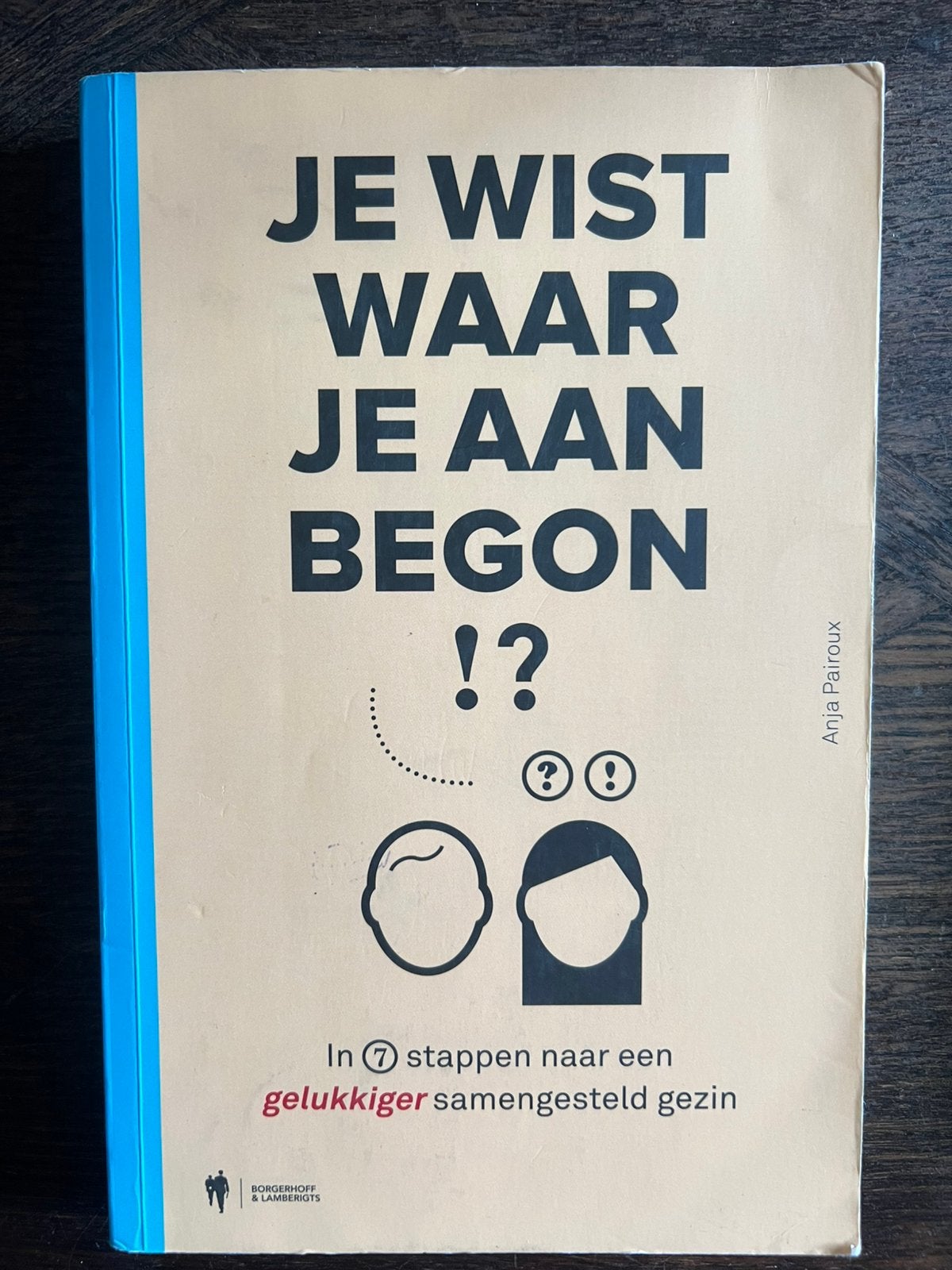 Anja Pairoux - Je wist waar je aan begon!?, Boeken, Ophalen of Verzenden, Anja Pairoux