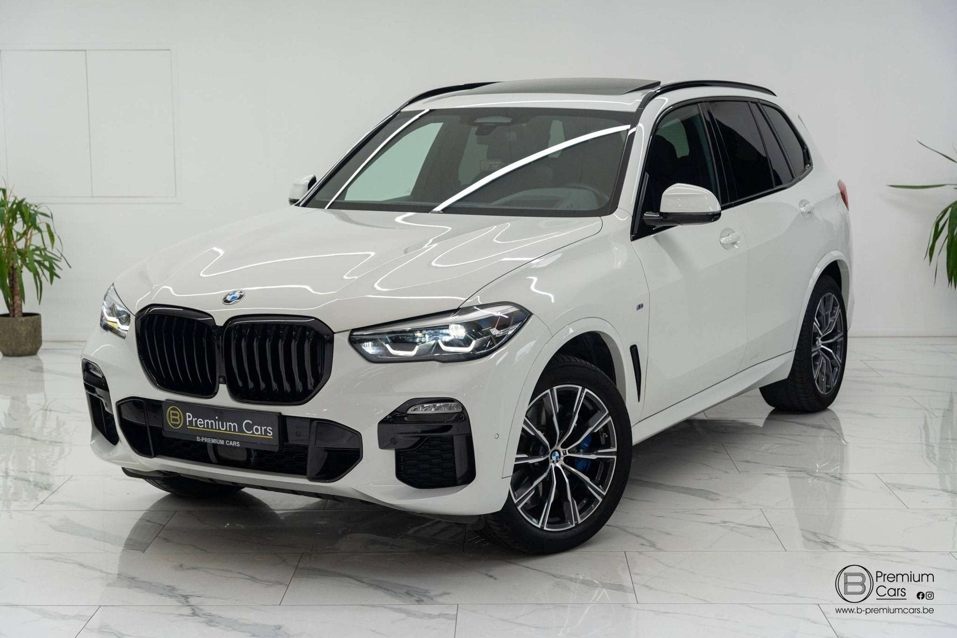 BMW X5 xDrive 30d M-pack! Sky lounge! Ultra full options!, Auto's, Automaat, Dealer onderhouden, Gebruikt, 2993 cc