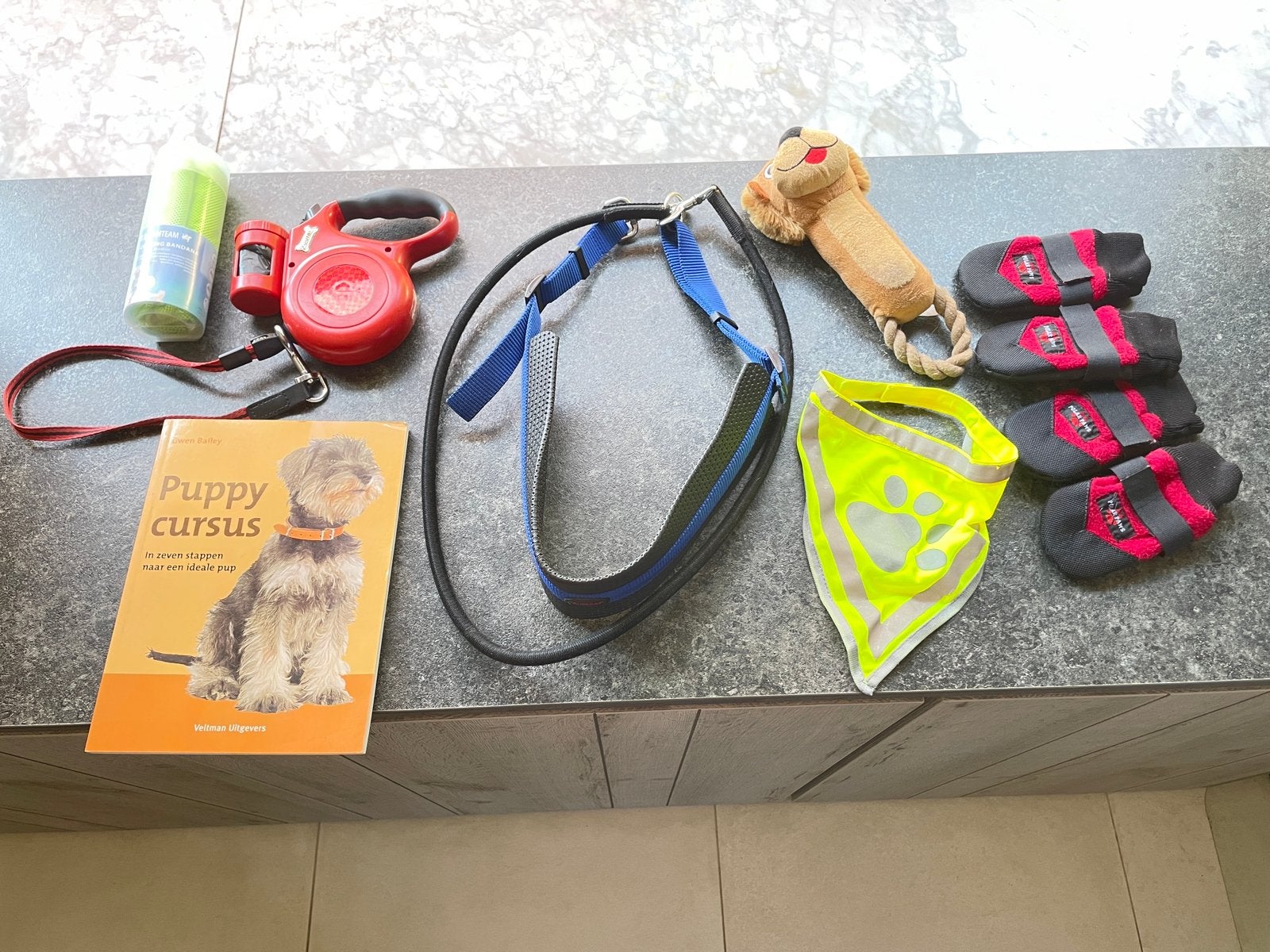 Hondespullen, Ophalen of Verzenden, Gebruikt, Hondenriem-accessoire