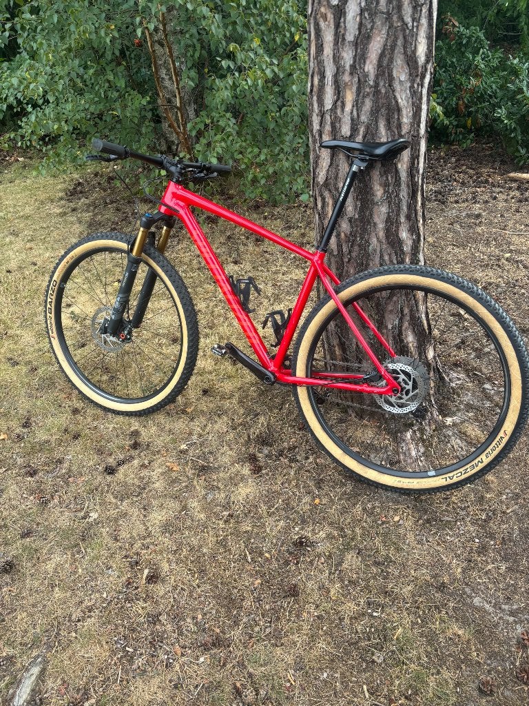 Specialized MTB 29 inch hardtail met Fox Factory Kashima, Enlèvement, Utilisé, Hommes, Frein à disque