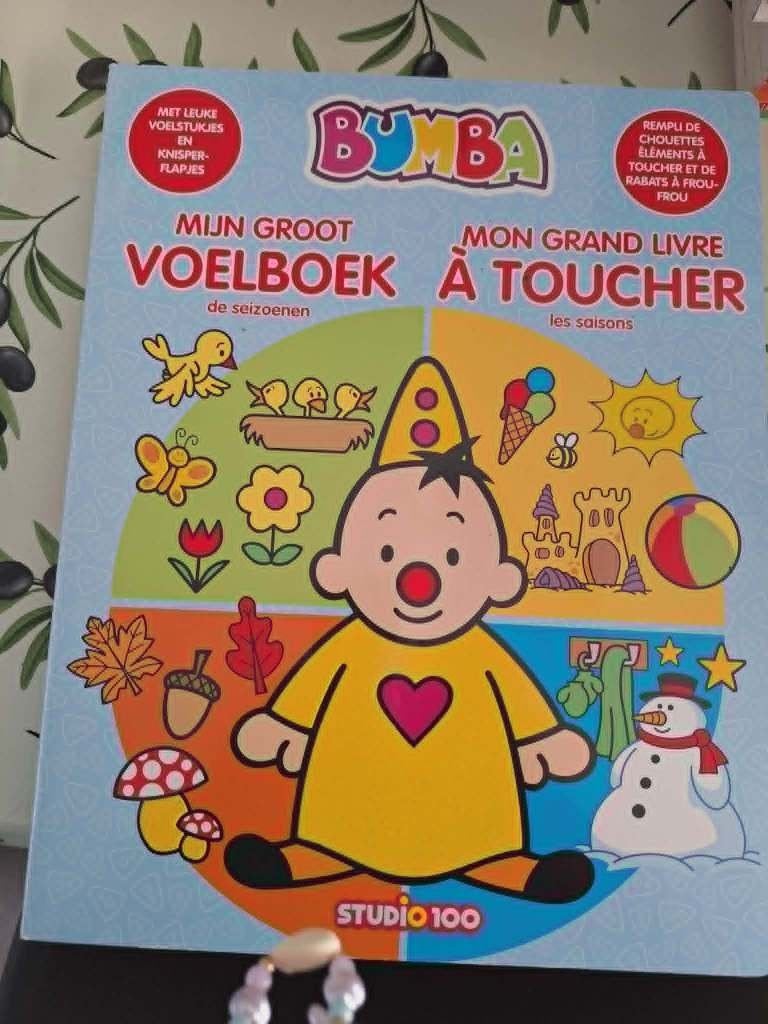 boeken van bumba, Boeken, Studio 100, Non-fictie, Jongen of Meisje, Ophalen of Verzenden
