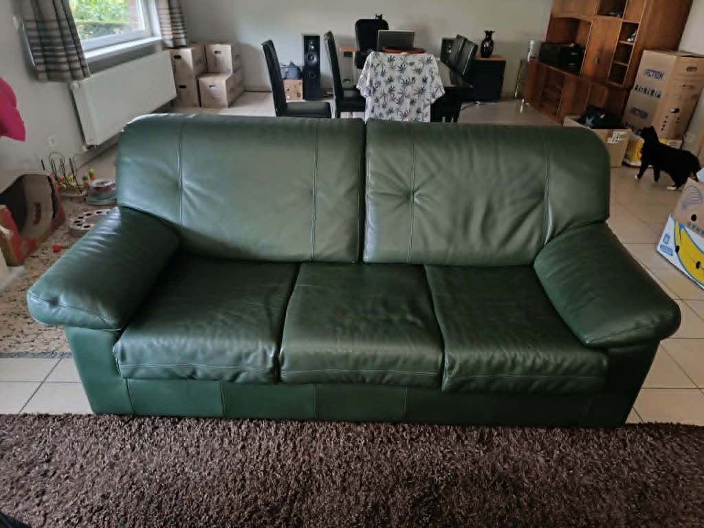 Gratis zetel leder groen, Huis en Inrichting, Zetels | Zetels, Ophalen, Gebruikt, 150 tot 200 cm, Driepersoons