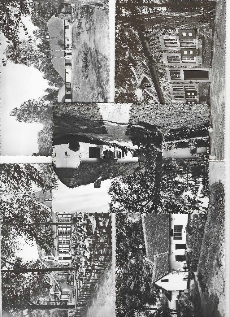 5 postkaarten Bokrijk, Verzamelen, Ophalen of Verzenden