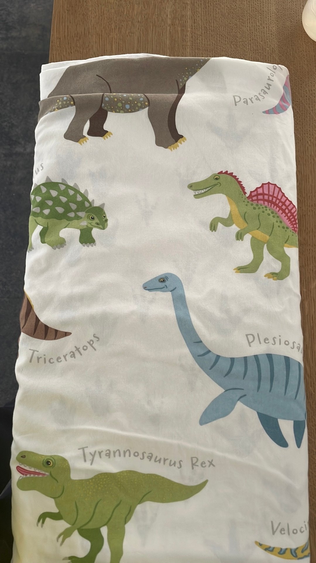 Dekbedovertrek kind - thema dinosaurus, Ritssluiting, Dekbedovertrek, Ophalen of Verzenden, Zo goed als nieuw
