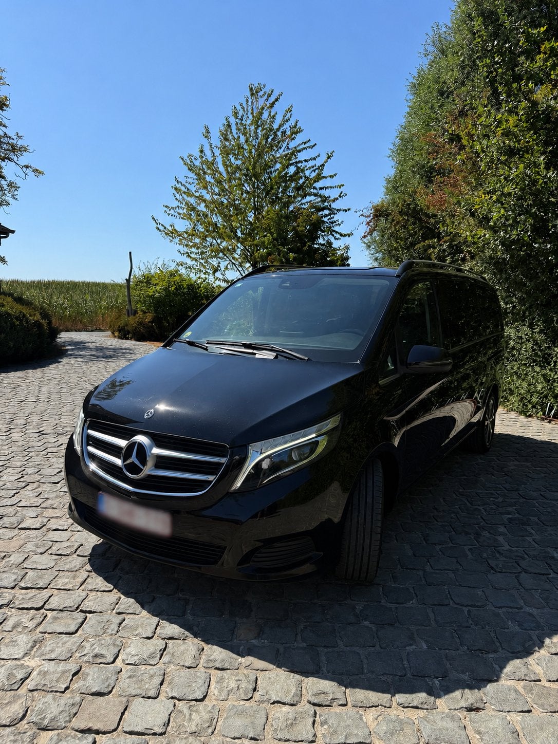 Mercedes V250 lichte vracht, Autos, Cuir, Achat, Euro 6, Noir