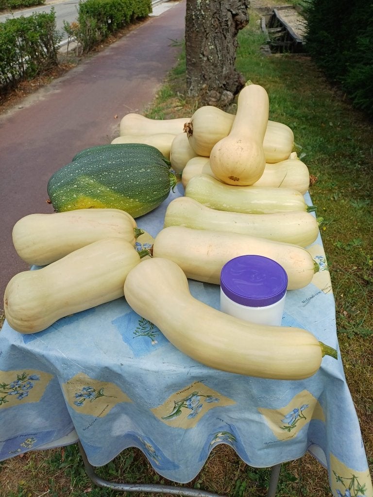 butternut, Diversen, Ophalen
