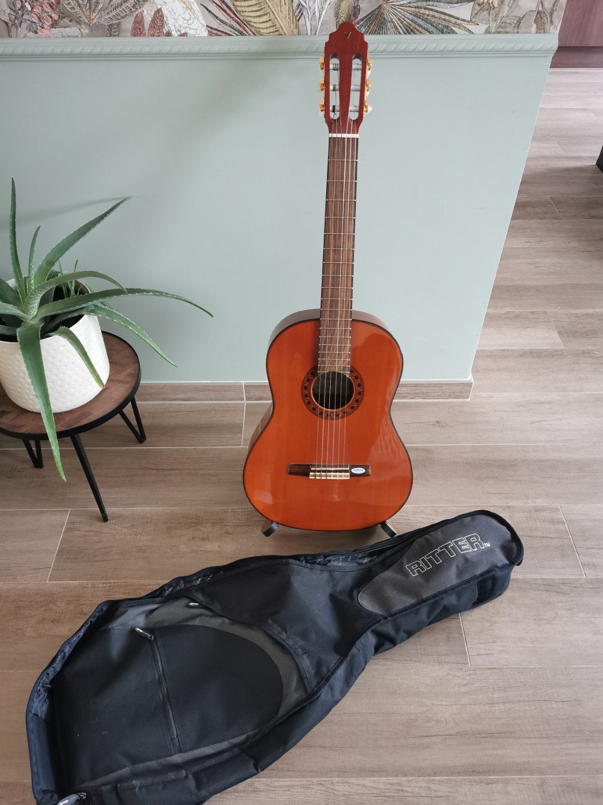 Guitare classique + housse + socle, Musique & Instruments, Instruments à corde | Guitares | Acoustiques, Enlèvement